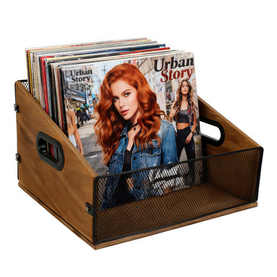 Wood & Metal Mesh Vinyl Record Storage Crate by 17 Stories