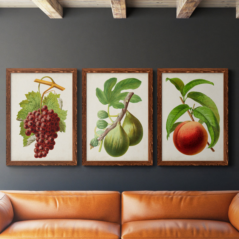 Antique Fruit III - ensemble de 3 peintures sur toile encadrées, H 31,5 po x l 47 po x P 1,5 po, Érable