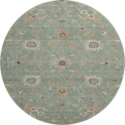 Premium Machine Washable Krause AMF1137 Global Rug