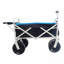 Chariot de plage pliable-123509949