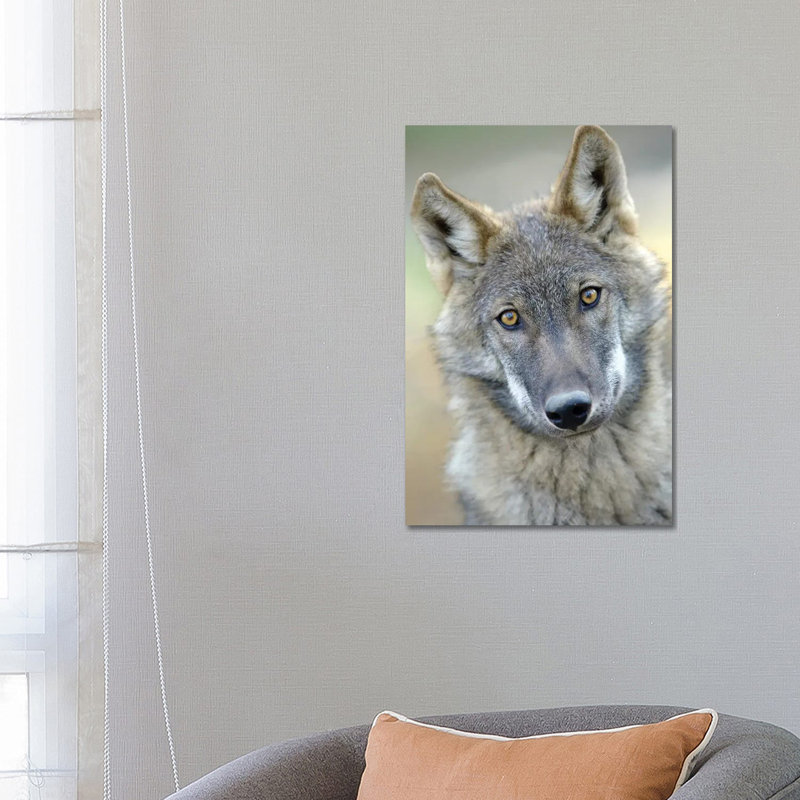 Wolf 1 Piece Wrapped Canvas Wall Art, 66.04 cm H x 45.72 cm W x 1.91 cm D