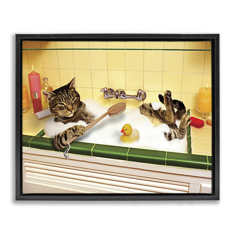«Cat Bathing in Tub Brown» par Lund Roeser, Cadre flottant noir de jais, H 17 po x l 21 po