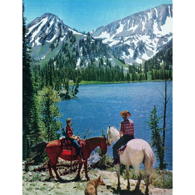 Wrapped Canvas Print, 132cm H x 101cm W x 3.81cm D