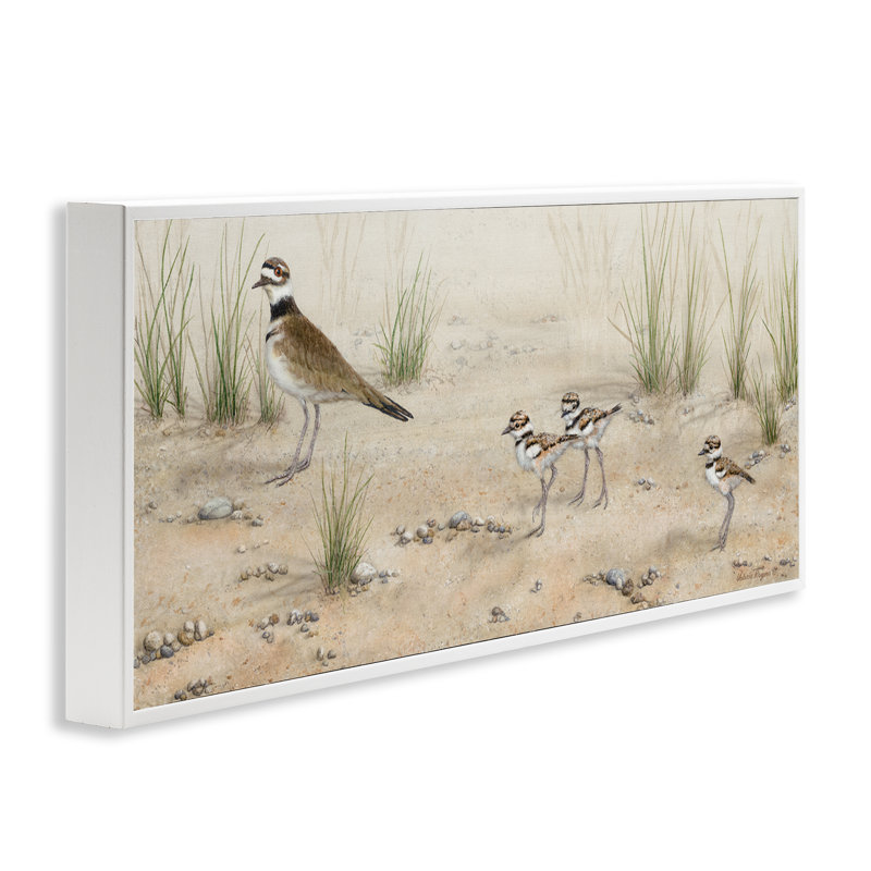  Kildeer Birds Stepping Grey Framed Giclee Art by Valerie Rogers, H 10 po x l 24 po