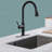 GAWEZA Pull Down Kitchen Faucet-93495160
