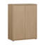 Chadwic 14 Pair Shoe Storage Cabinet-573457775