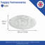 Rouillard Flush Mount