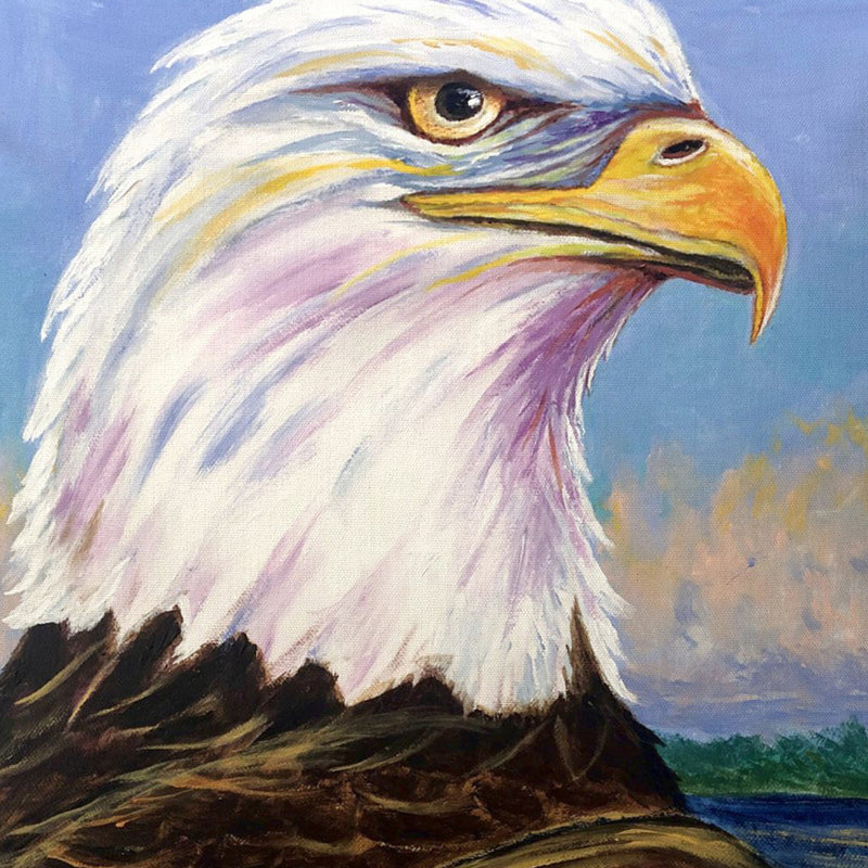  Housse et insert de coussin décoratif carré Eagle