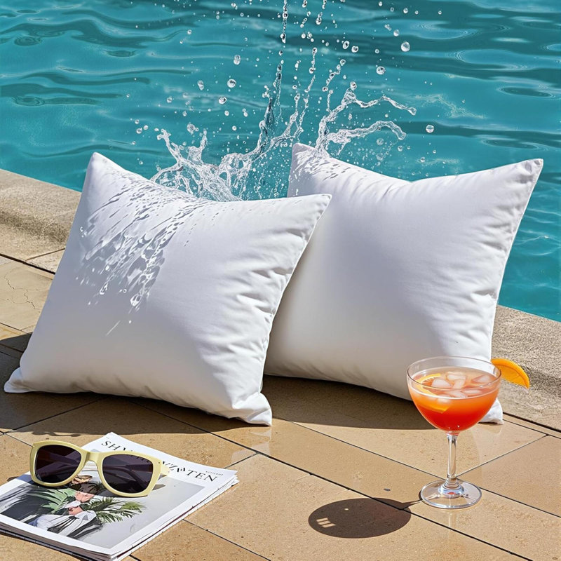 Ensemble de 2 coussins décoratifs de qualité supérieure en polyester résistant à l'eau de forme carrée