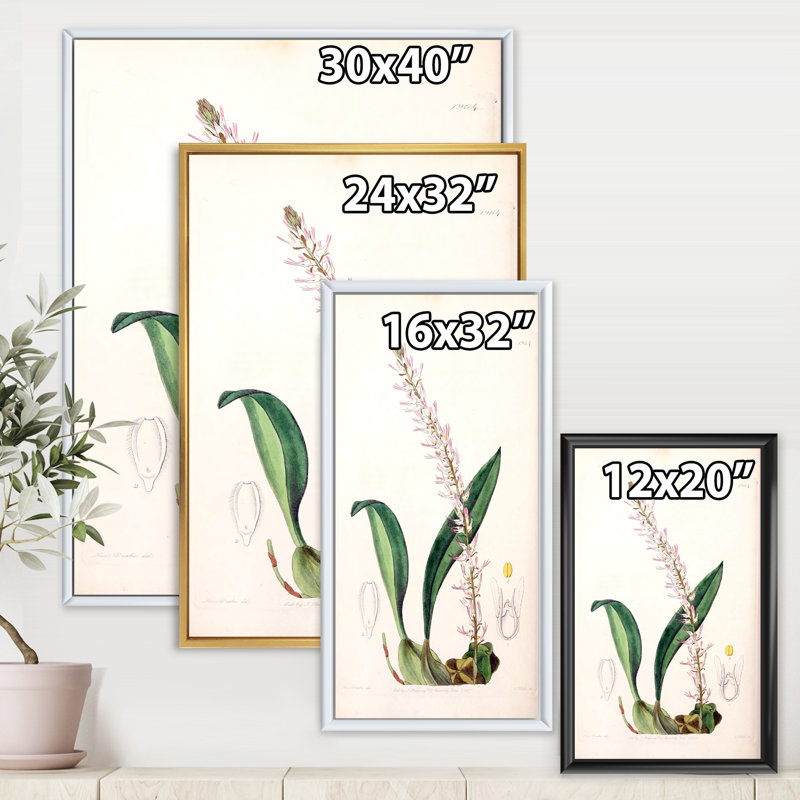 Vintage London Plants V - peinture sur toile, H 32 po x l 24 po x P 1 po, Cadre flottant blanc