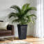 Planter Box