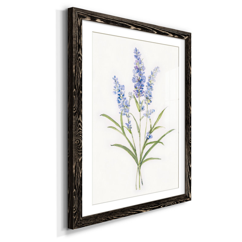 Lavande botanique délicate - impression, H 37,5 po x l 27,5 po x P 1,5 po, Noir
