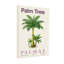 Plantes et fleurs, impression botanique de palmier