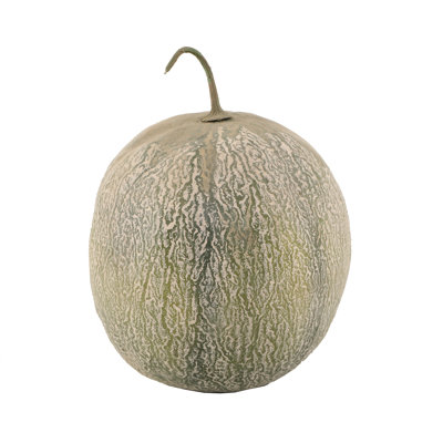 Cosalino Cantaloup