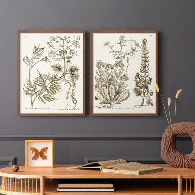 «Sepia Botanical Journal III», reproduction encadrée de qualité supérieure - prête à être accrochée - aucun clou requis - aucun clou requis