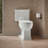 Archer 1.28 GPF Water Efficient Elongated Two-Piece toilet (Seat Not Included)-18386943
