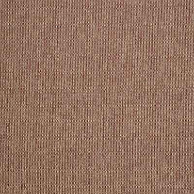 Cavum Cotton