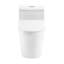 Toilette allongée une pièce Cannes 1,6 GPF