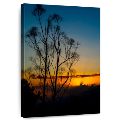 Alvord Tree Silhouette Sunrise