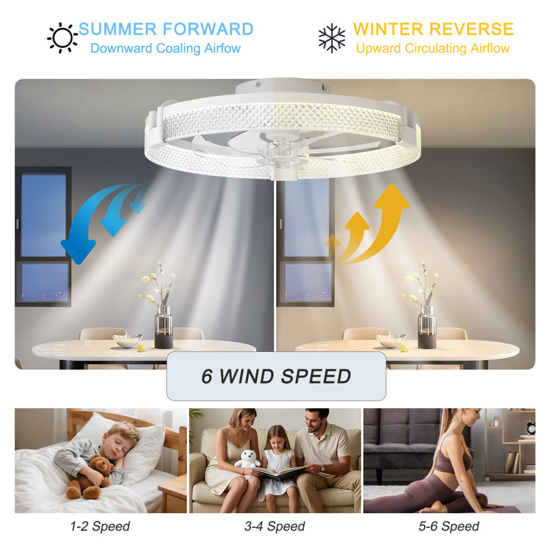 Justino 20" 6-Speed LED Dimmable Reversible Modern Caged Ceiling Fan With Light And Remote Control