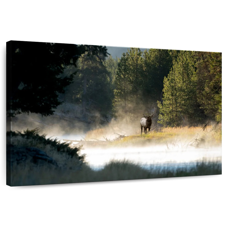 Alvord Elk Along Yellowstone River