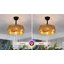 18 Inch Boho Rattan Hemp 6 Speeds DC Motor Caged Ceiling Fan with Lights and Remote Control