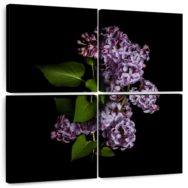 Harnek lilas dans le noir, H 50 po x l 50 po