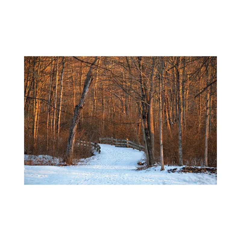 Long Pond Path by David Gardiner - Print on Canvas, 8"H x 12"W