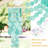 Turquoise Shell Wind Chime