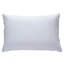 Oreiller nu en duvet d'oie-1360266739