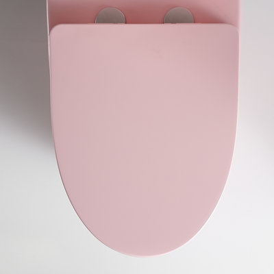 Luma Modern Soft-Close Toilet Seat Cover