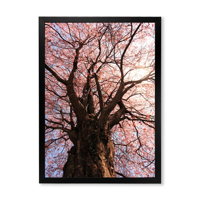 Grand prunier - œuvre d'art traditionnelle sur toile, Toile avec cadre noir, H 20 po x l 12 po x P 1 po