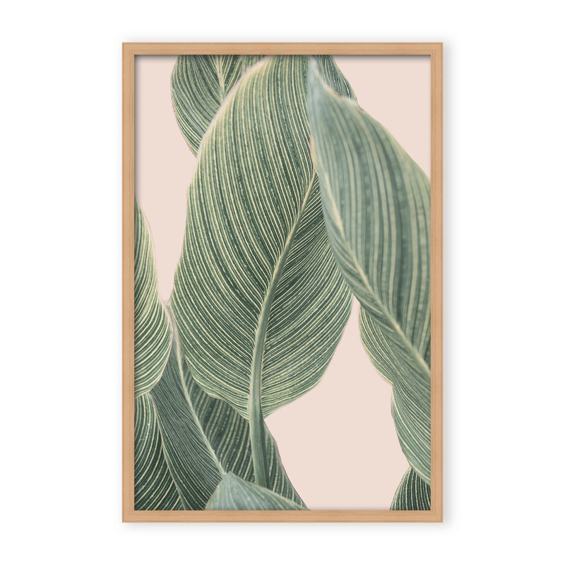 Coastal Retreat Calla Leaf by  - Picture Frame Graphic Art on Paper, 36" H x 24" W x 1.125" D, Framed Matted Print, Beige
