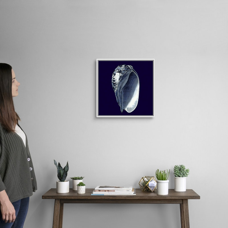 « Indigo shells V » par vision studio-impression, Cadre blanc, H 26 po x l 26 po x 1,75 po