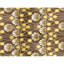 Area Rug in Brown