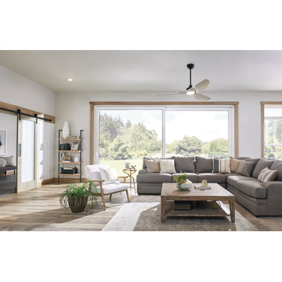 Anston 65cm Ceiling Fan with LED Lights