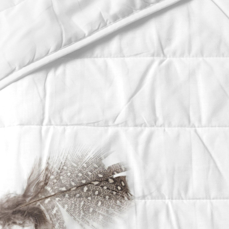 Crooke Cotton No Pattern Bedspread, W260 x L260cm