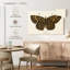 Papillon antique II-107923787