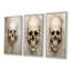 Ensemble de 3 décorations murales Skull S Resson-395981710-395981707