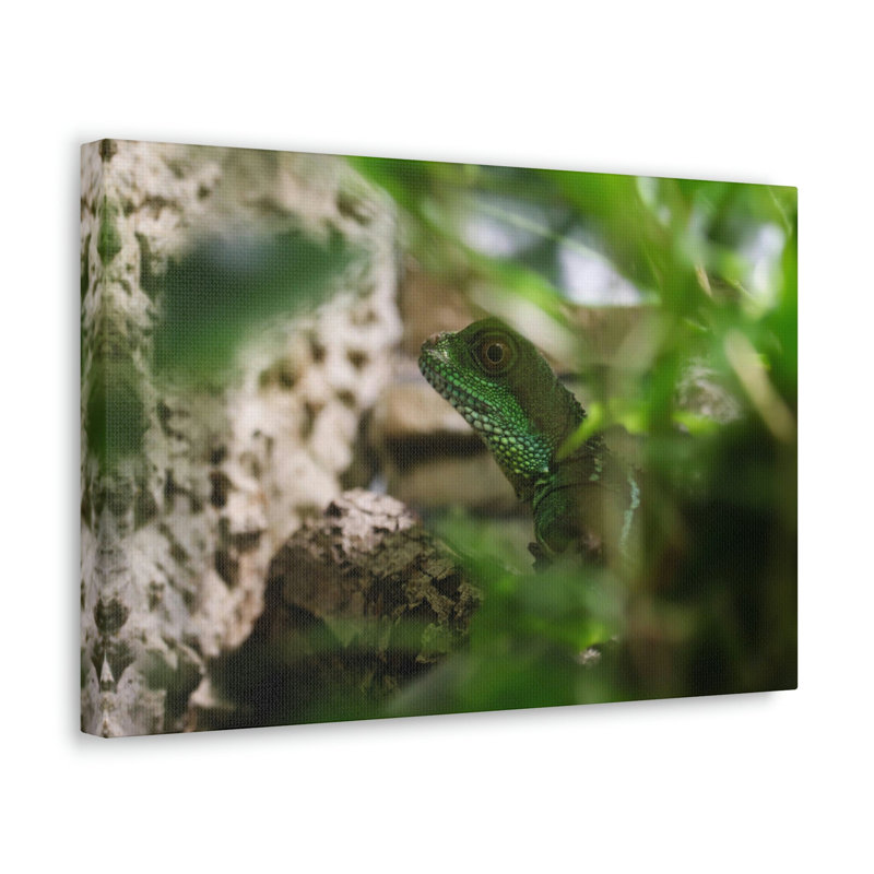 No Frame Print on Canvas