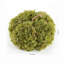 Fausse citrouille en pot