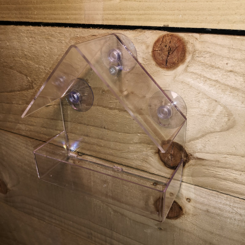 Caziyah Window