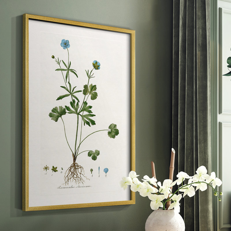 «Buttercup Study», reproduction encadrée - bois massif, Or, H 20 po x l 16 po