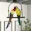 Animaux Layman
