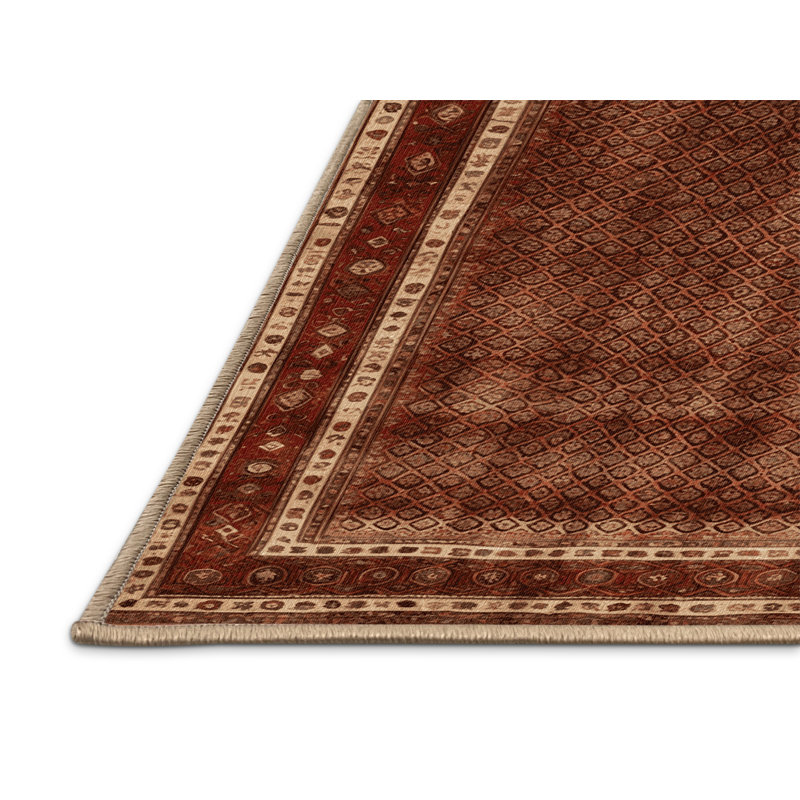 Tapis brun lavable à la machine, Rectangulaire 2 pi x 3 pi