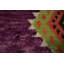 Tapis marocain éclatant et moelleux 6 x 9 sur fond mauve riche