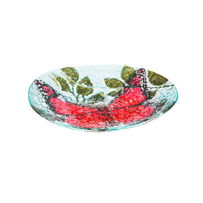 Glass Single Tier Birdbath