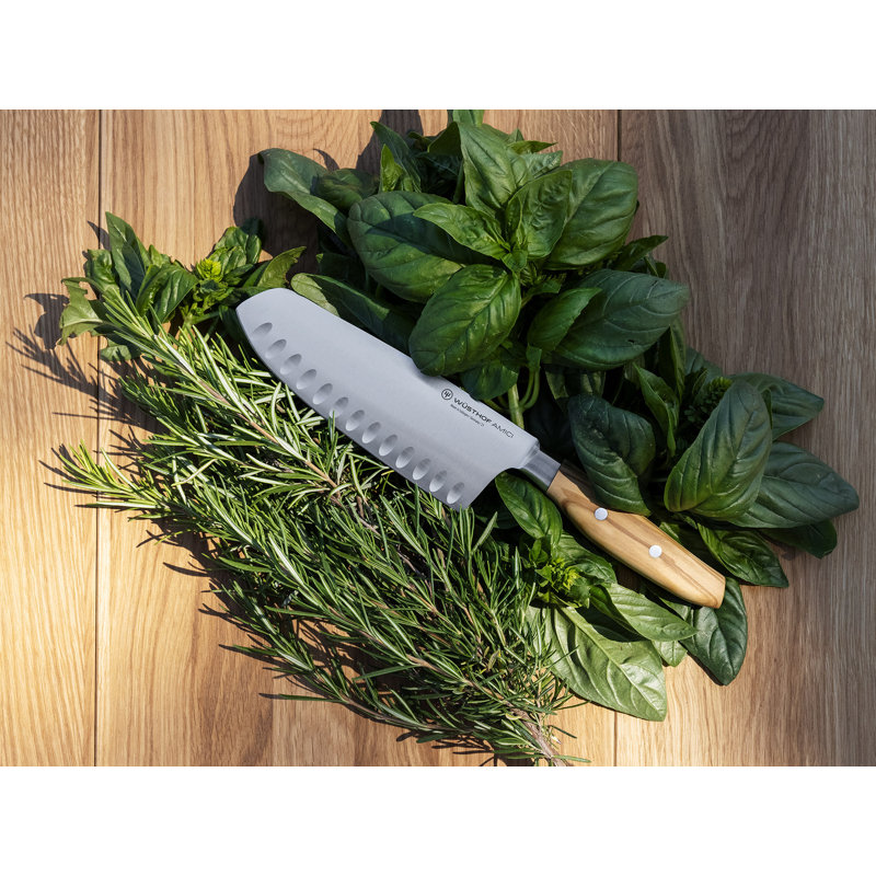 Amici Hollow Edge 6.69" Santoku Knife