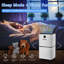 Portable Room Ultra-Quiet Dehumidifier