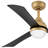 Brona Ceiling Fan with LED Lights-1371213526-1371213521